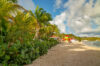 Tropical beachfront with palm trees and colorful houses along the shore in St Barts