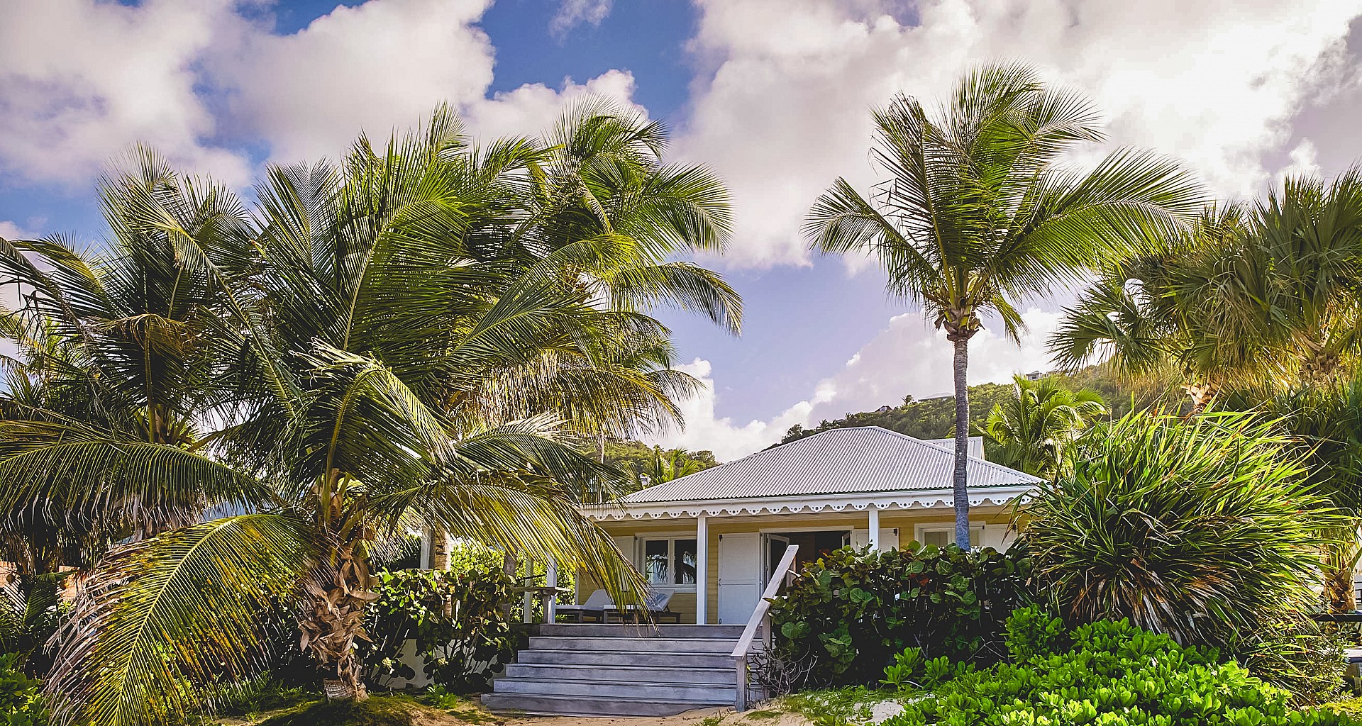 Secluded St Barts villa surrounded by tropical palm trees and lush gardens.