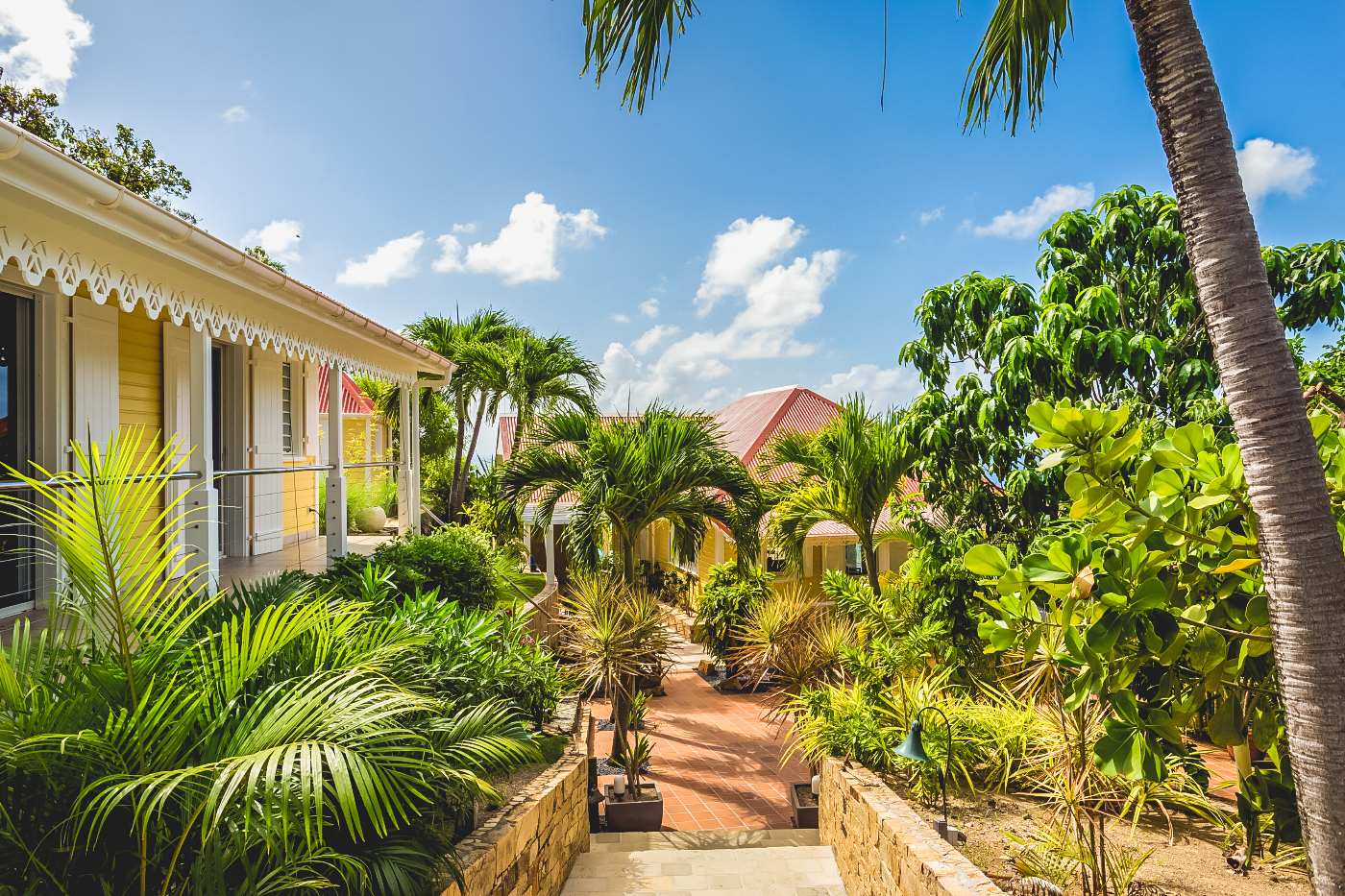 Smell - L&#8217;Enclos in Colombier, St. Barthélemy
