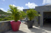 Terrace with large potted palms and hillside views at contemporary villa in St Barts