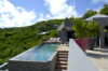 Infinity pool with slate edges and sun loungers overlooking a green hillside in St Barts, framed by potted palms and blue sky.