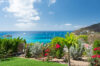 Panoramic ocean view from a St Barts villa garden with palm trees and vibrant bougainvillea.
