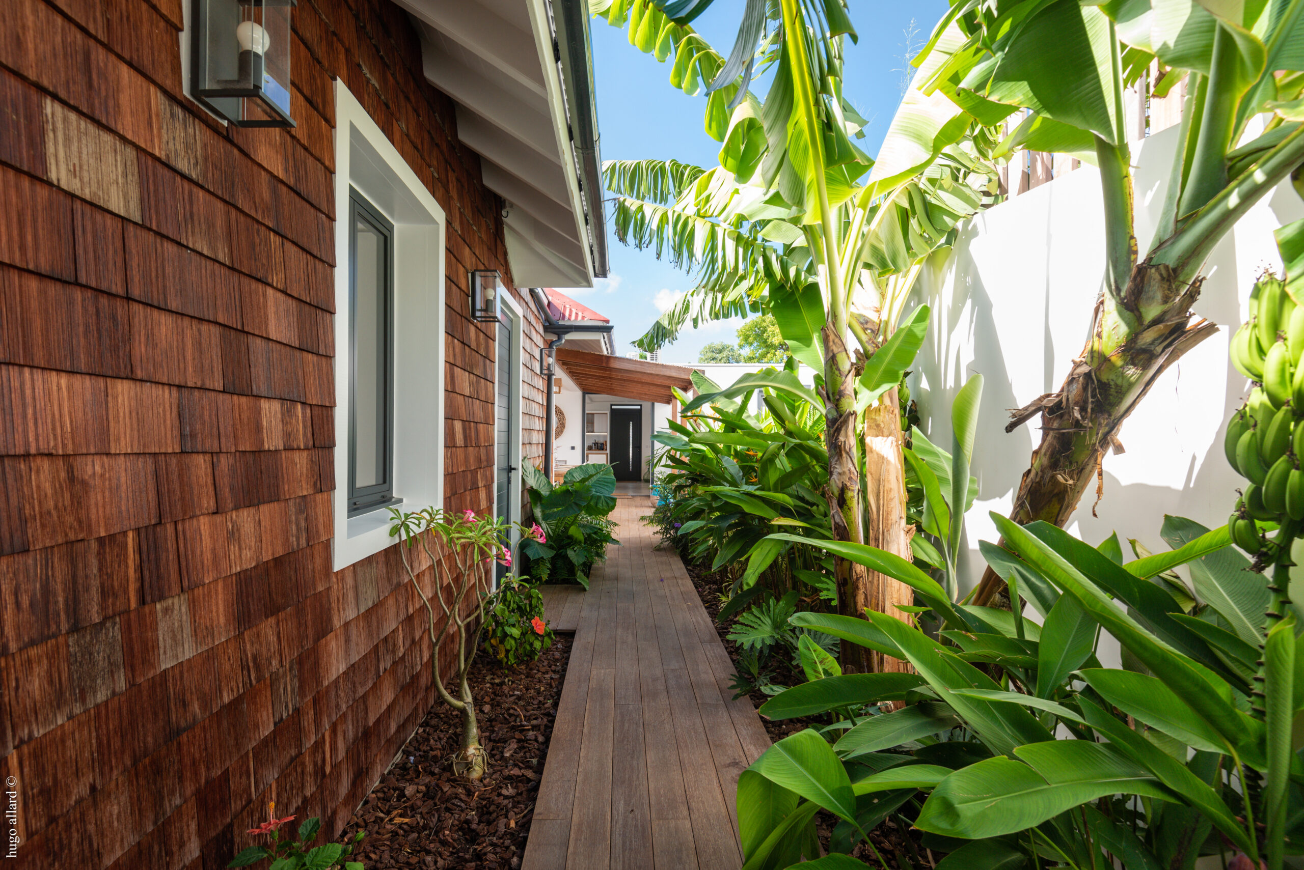 a narrow wooden walkway surrounded by vibrant tropical plants and lush foliage, leading towards a villa entrance