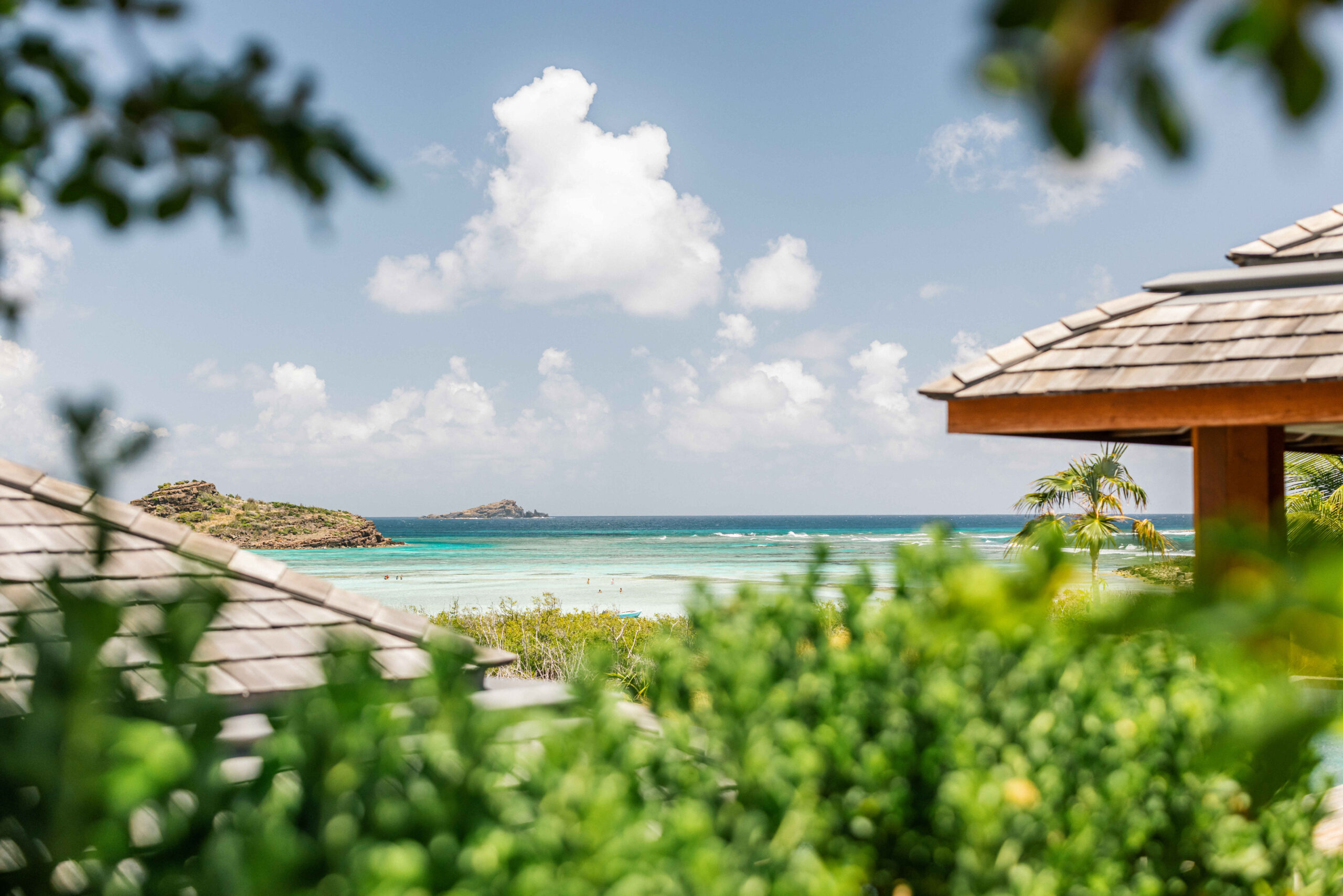 Smell - Tourmaline in Grand Cul de Sac, St. Barthélemy