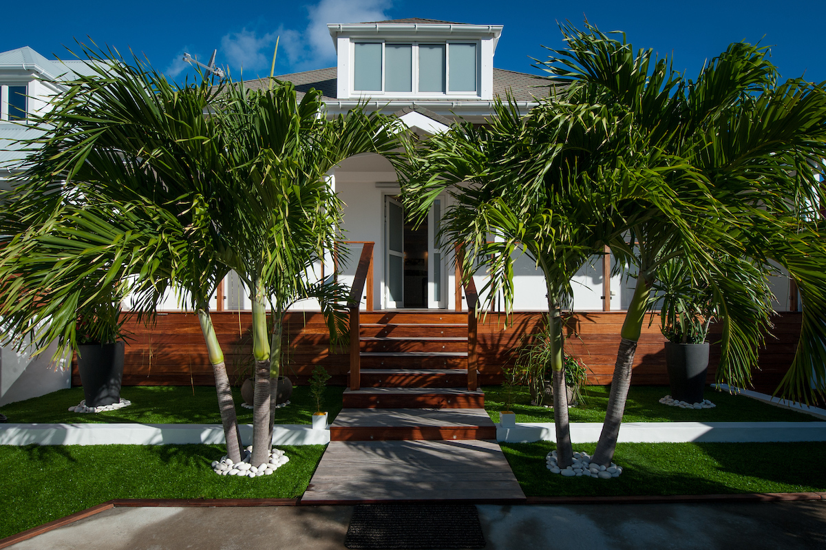 Entrance of modern St Barts villa with palm trees, wooden steps, and tropical garden