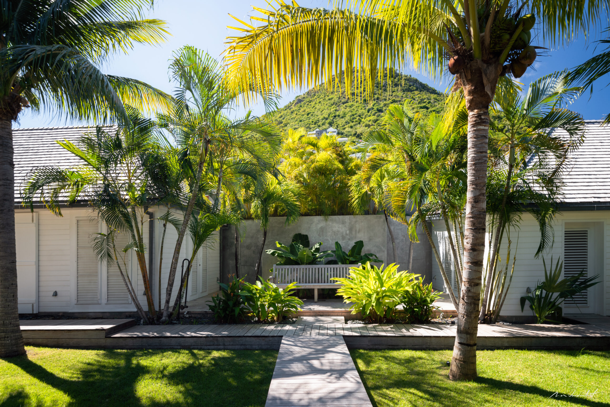 Tropical garden courtyard with palm trees and mountain view at a private villa in St Barts