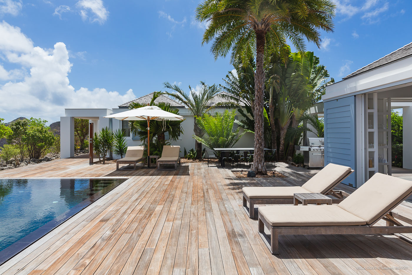 Hear - Olive in Gouverneur, St. Barthélemy