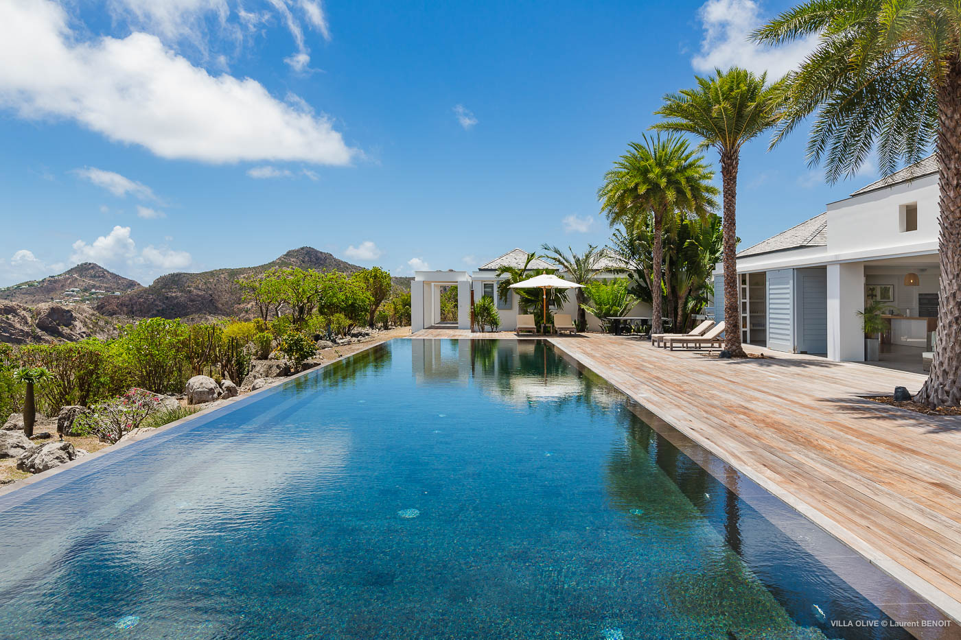 See - Olive in Gouverneur, St. Barthélemy