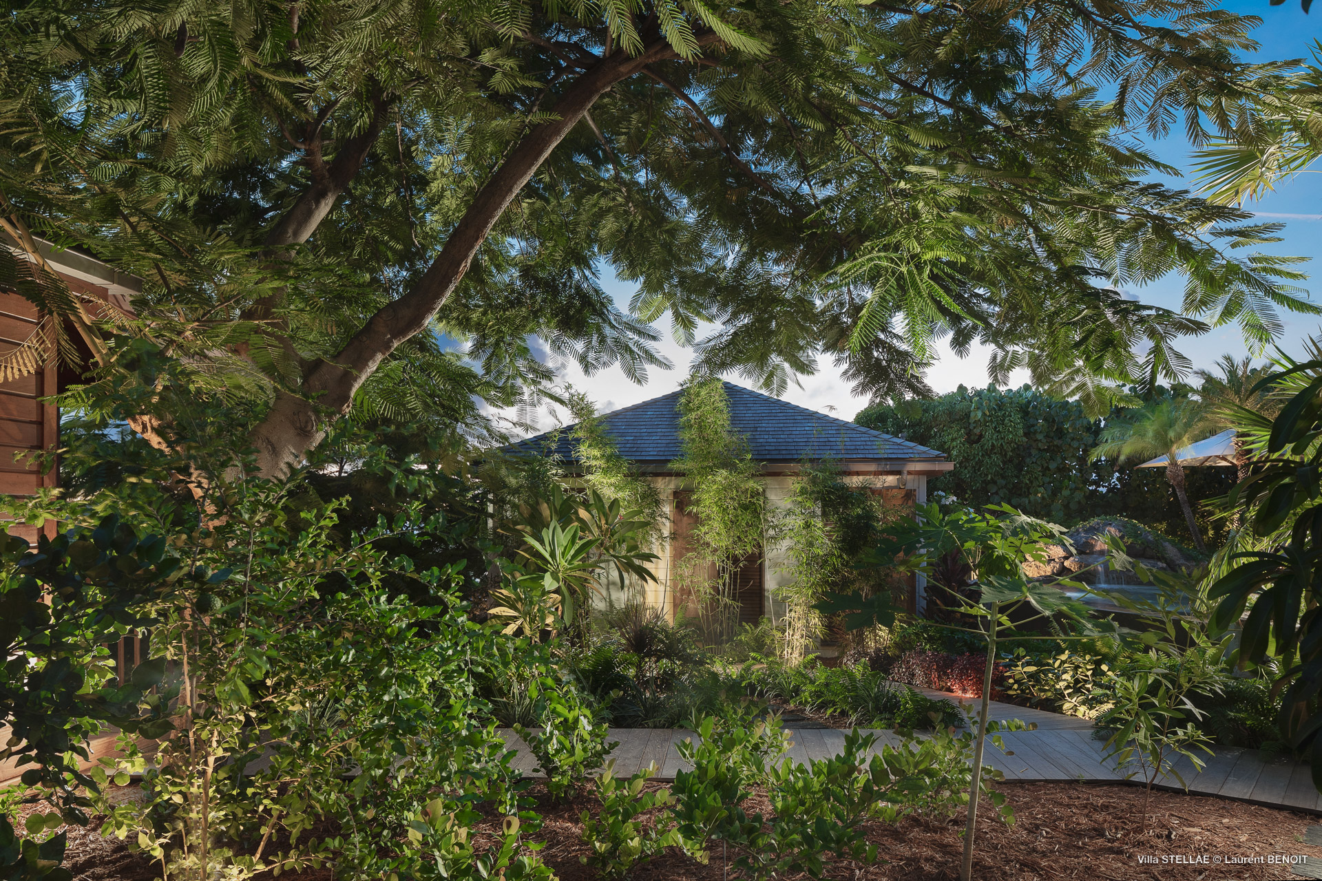Smell - Stellae in Lorient, St. Barthélemy