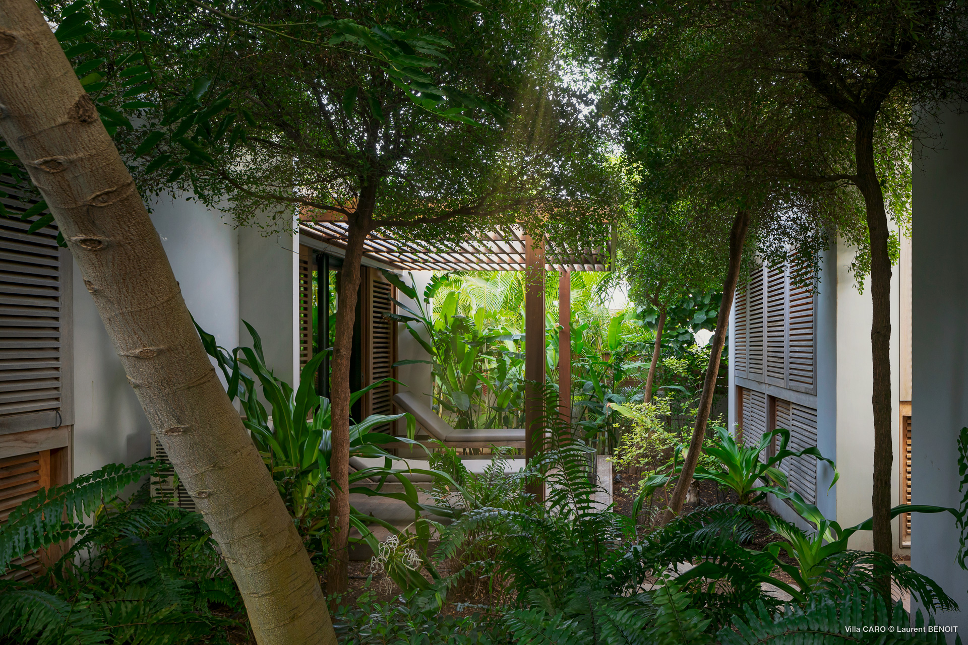 A lush green garden at Villa Caro in St. Barts.