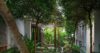 Tropical courtyard at a St Barts villa with lush greenery, shaded pathways, and natural light filtering through the trees.