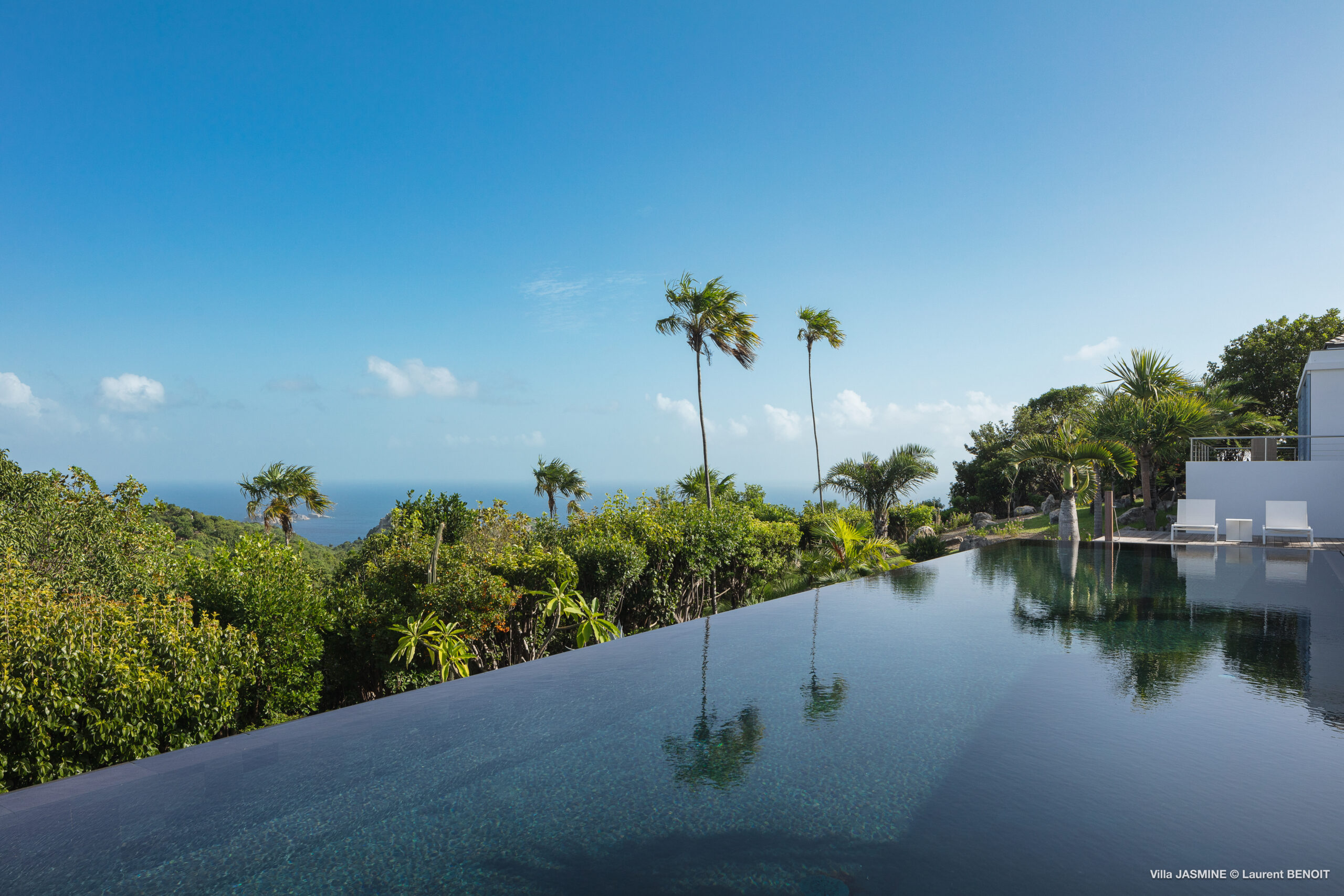 See - Jasmine in Gouverneur, St. Barthélemy