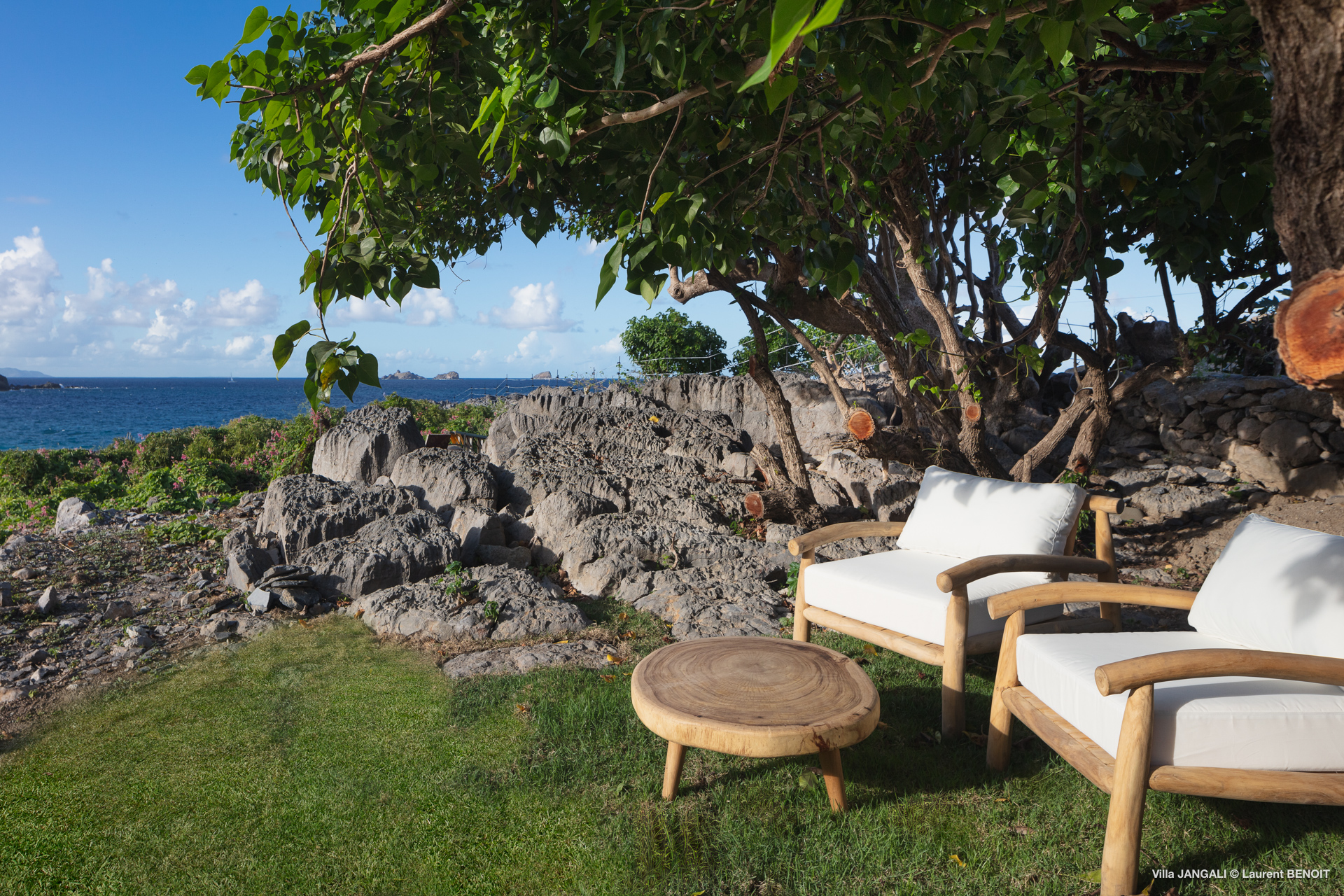 Smell - Jangali in Flamands, St. Barthélemy