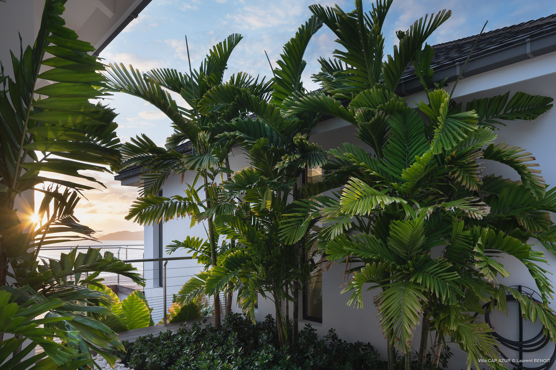 Lush tropical garden at St Barts villa with tall palm trees and ocean light at sunset
