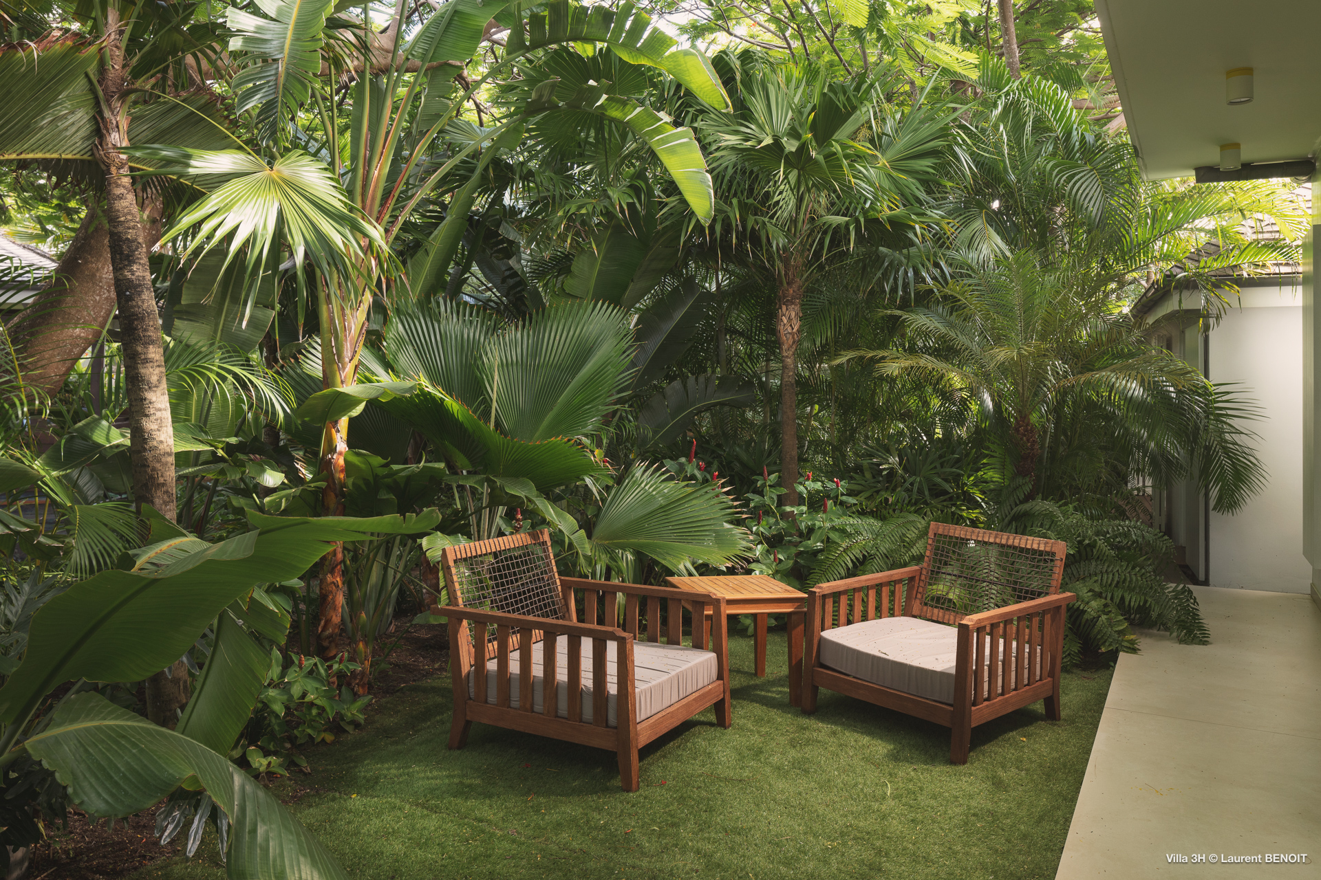 Smell - 3H in Lurin, St. Barthélemy