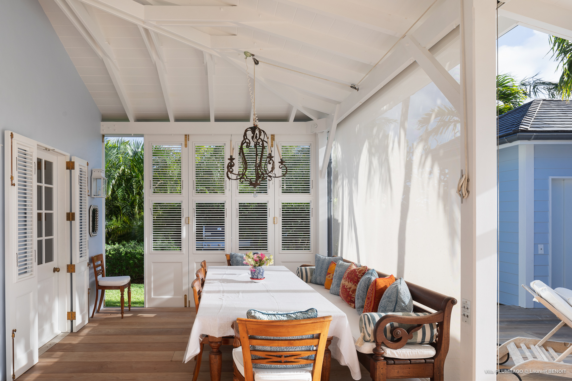 Taste - Plumbago in Colombier, St. Barthélemy