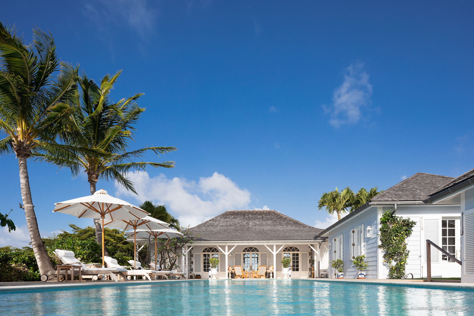 Sound - Plumbago in Colombier, St. Barthélemy