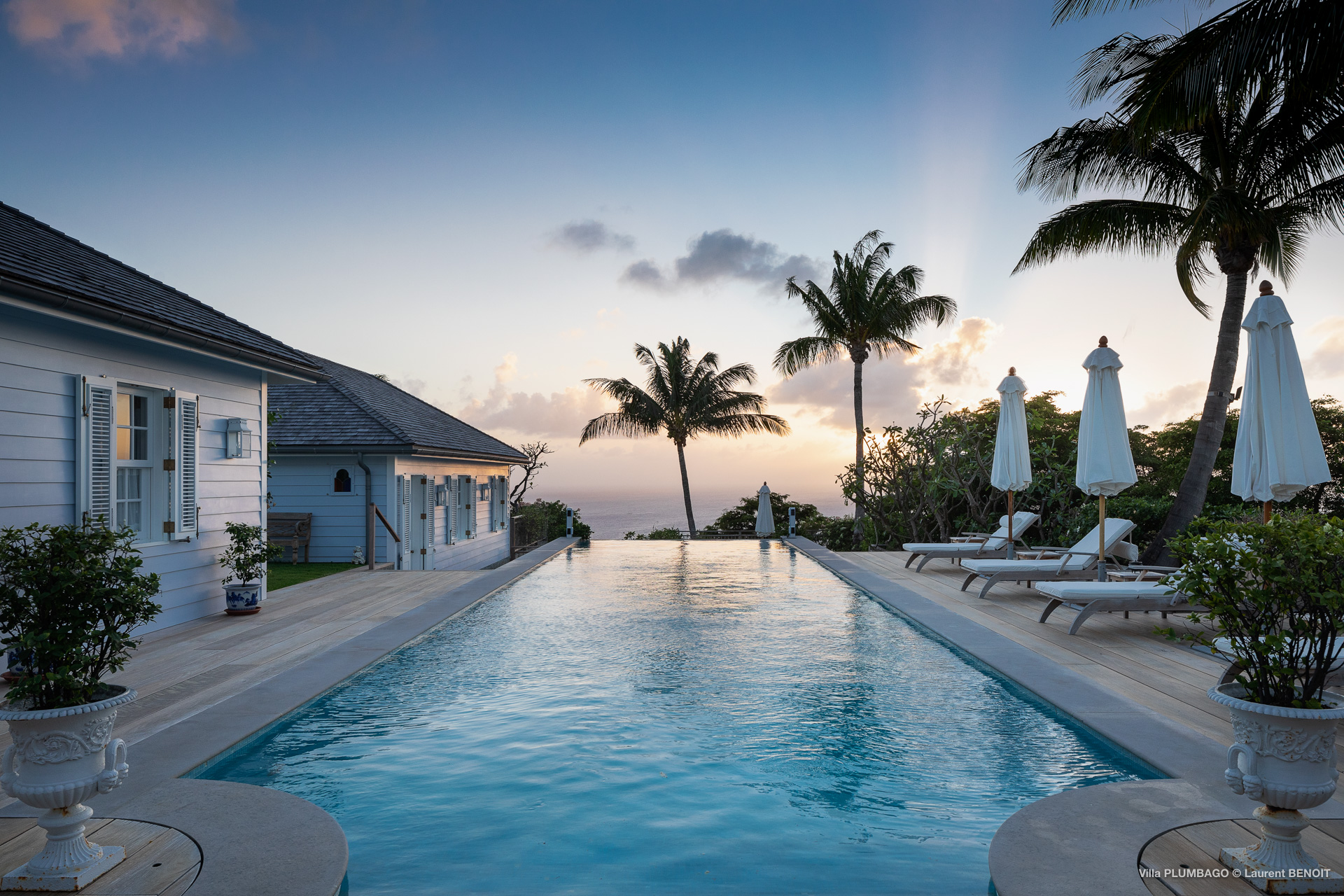 Touch - Plumbago in Colombier, St. Barthélemy