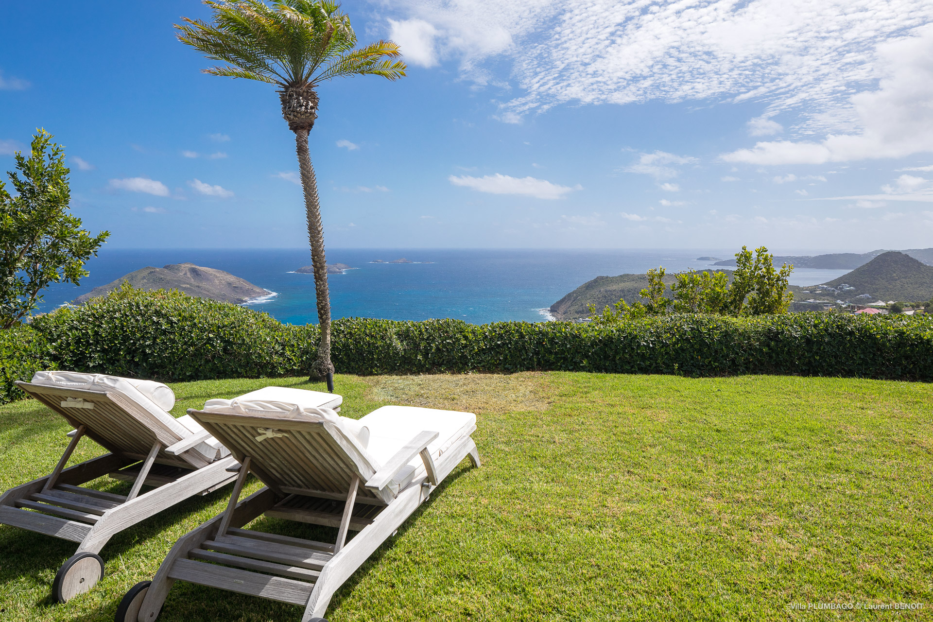 Smell - Plumbago in Colombier, St. Barthélemy