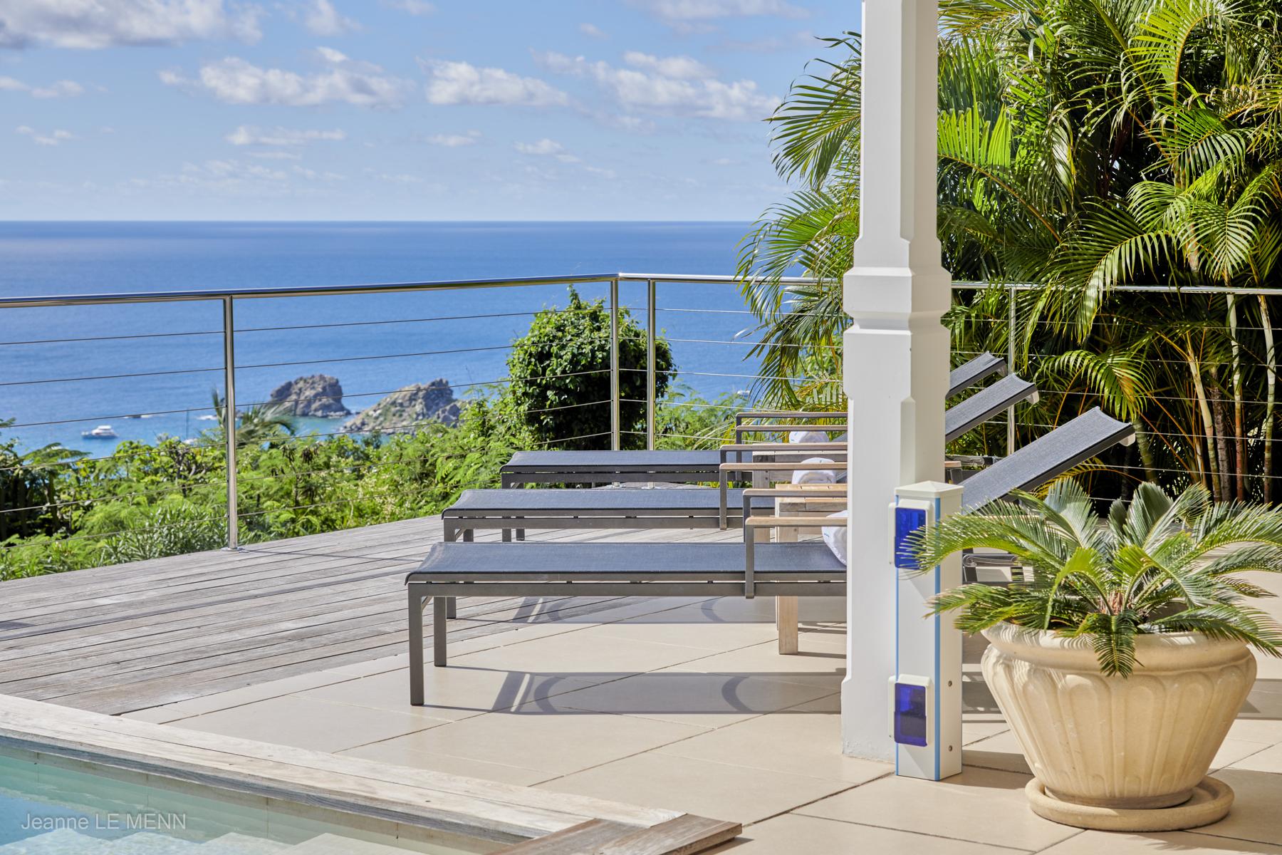 Smell - Cactus in Colombier, St. Barthélemy