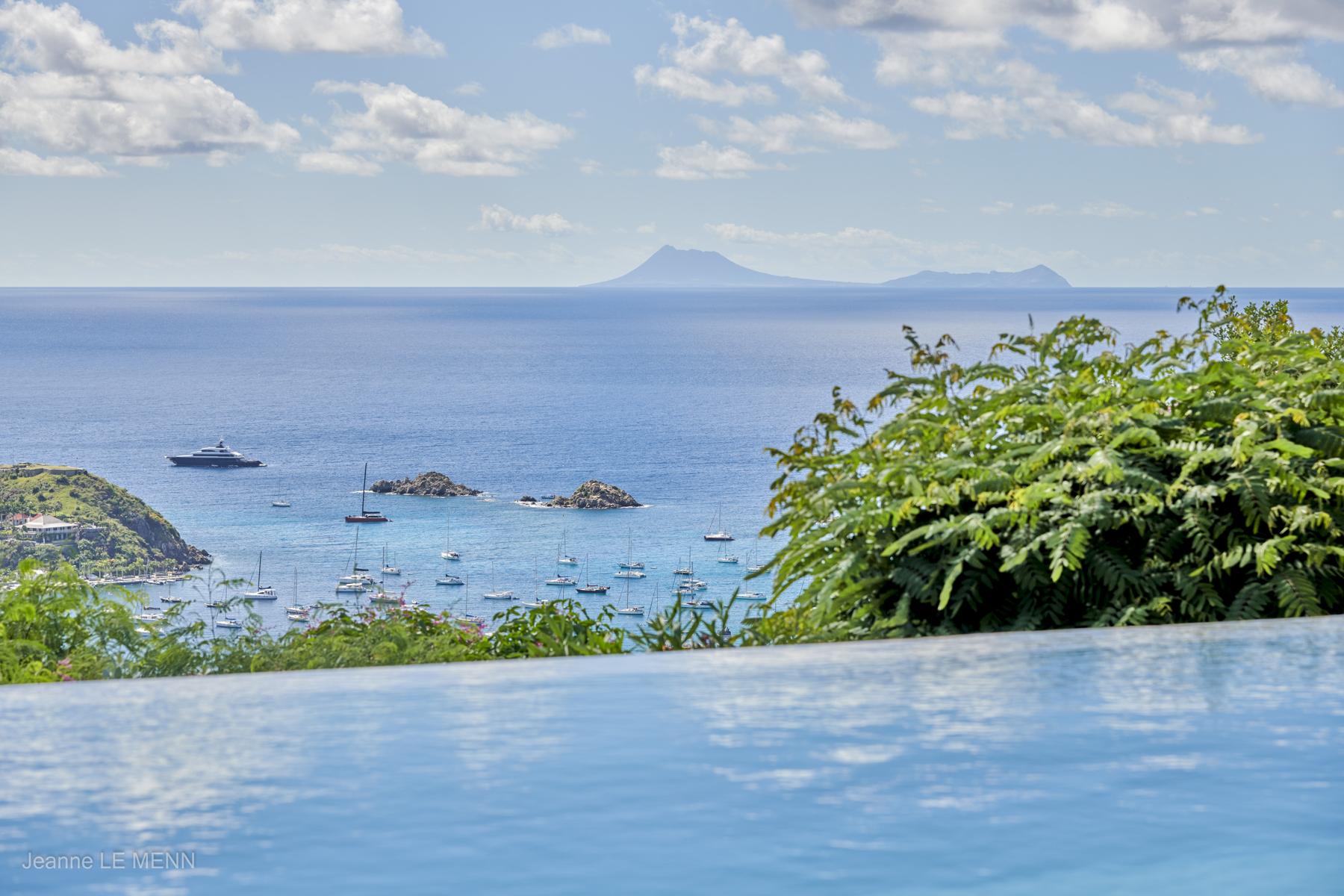 Hear - Cactus in Colombier, St. Barthélemy