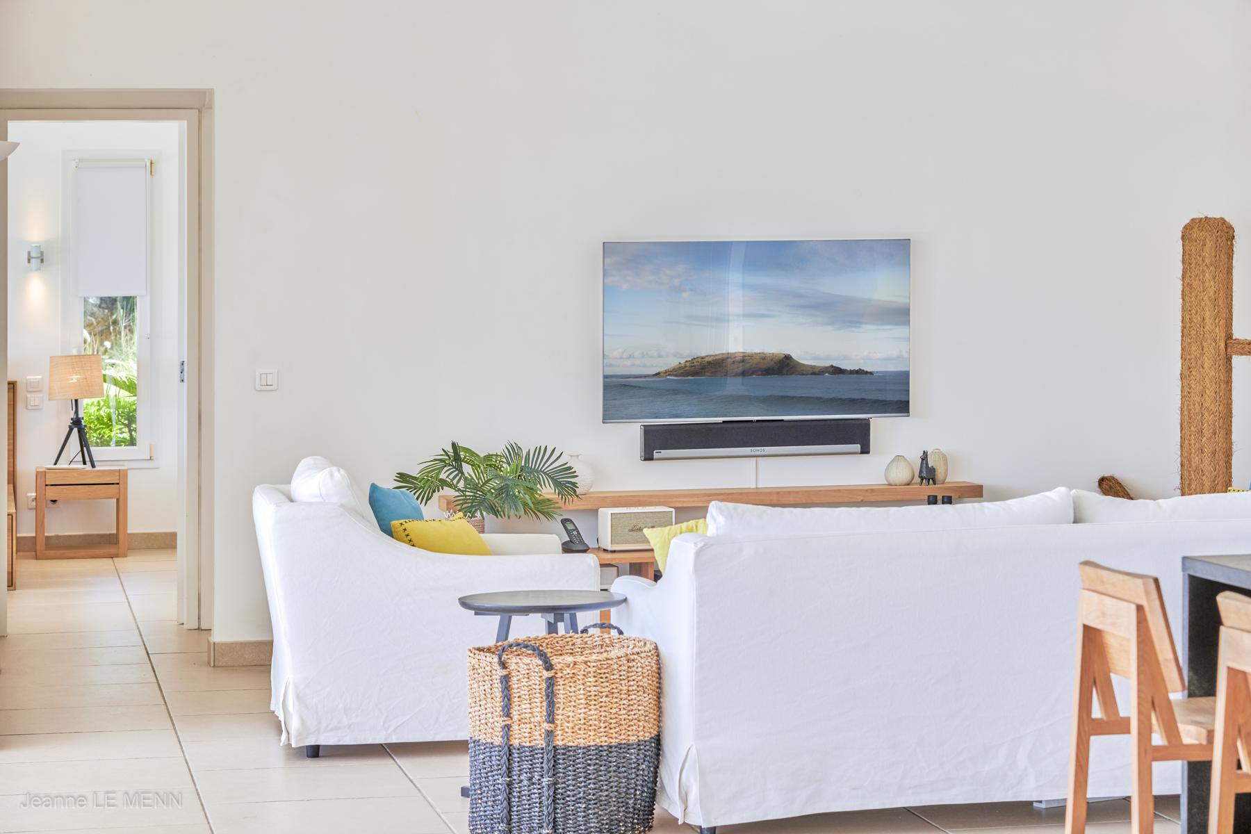 Feel - Cactus in Colombier, St. Barthélemy