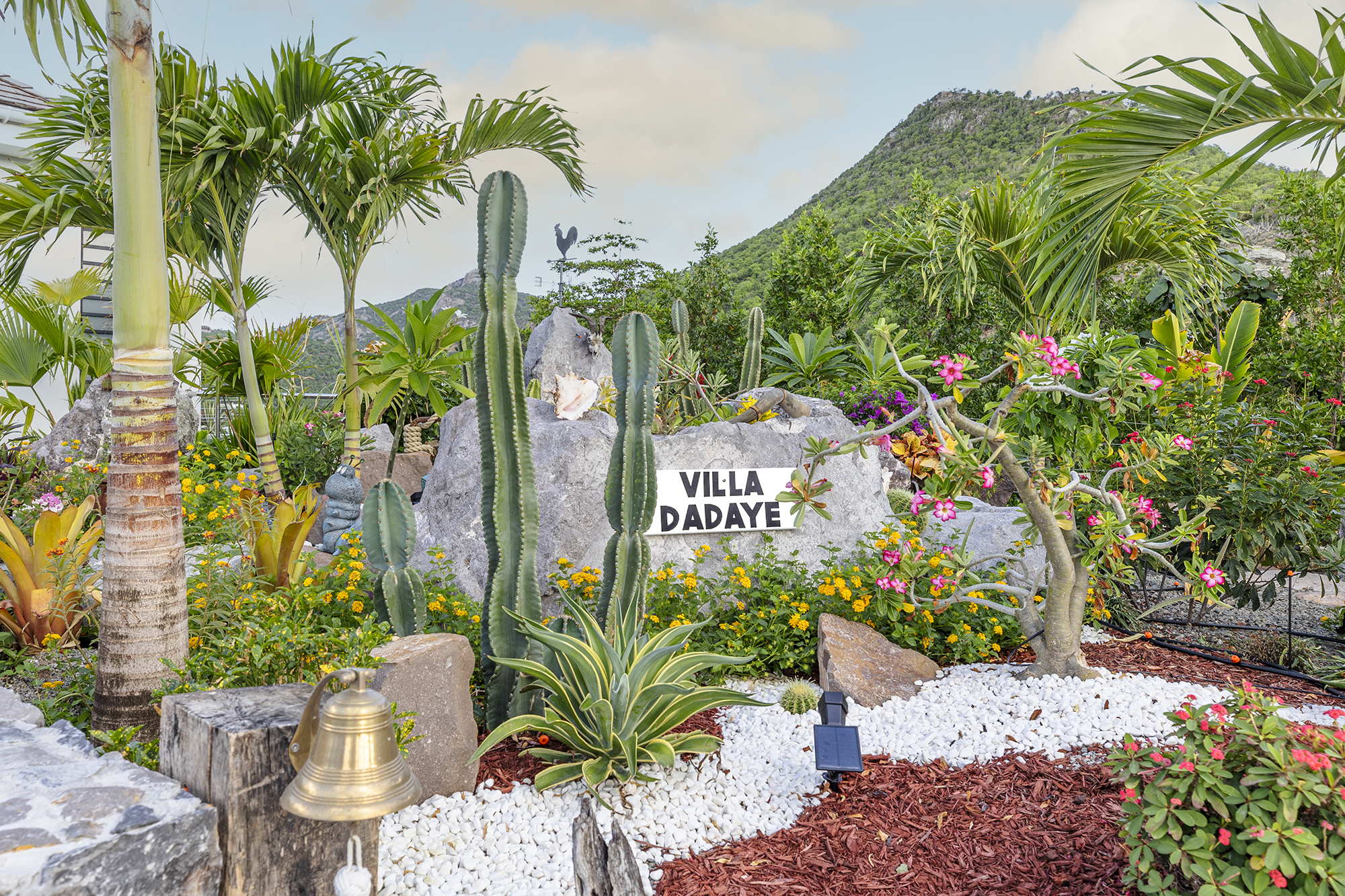 Hear  - Dadaye in Lorient, St. Barthélemy