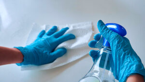 Ensuring the villa is thoroughly cleaned before each rental